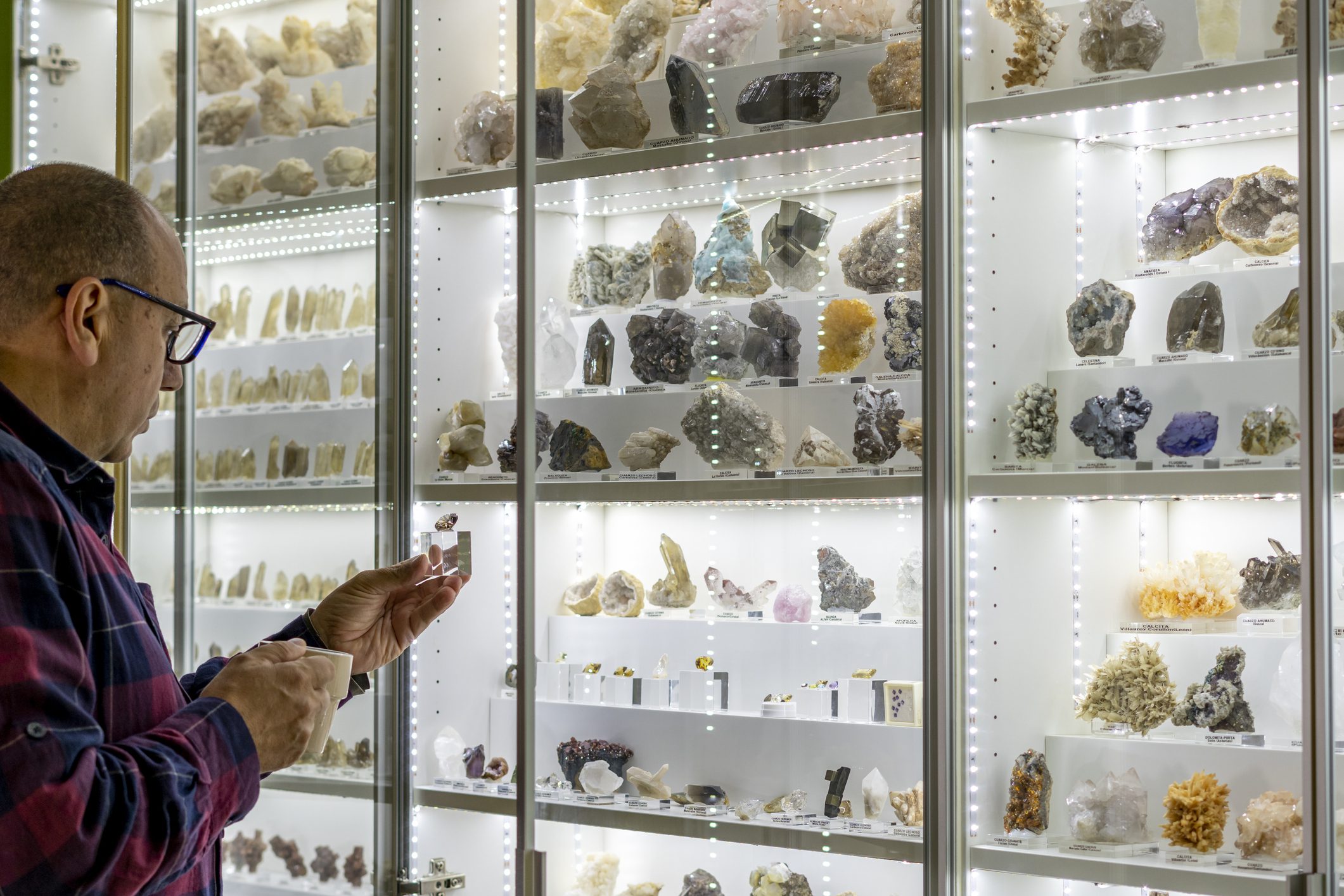 Geological exhibit with diverse mineral samples
